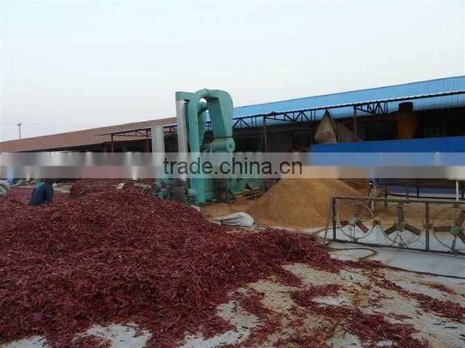 Chilli powder complete plant