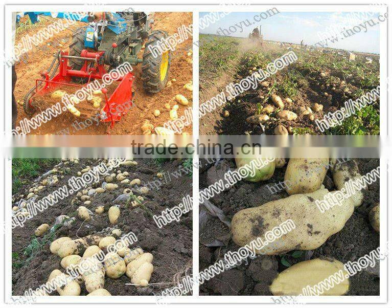 THOYU brand Double row Peanut Harvesting Machine Price(+86 15903677328)