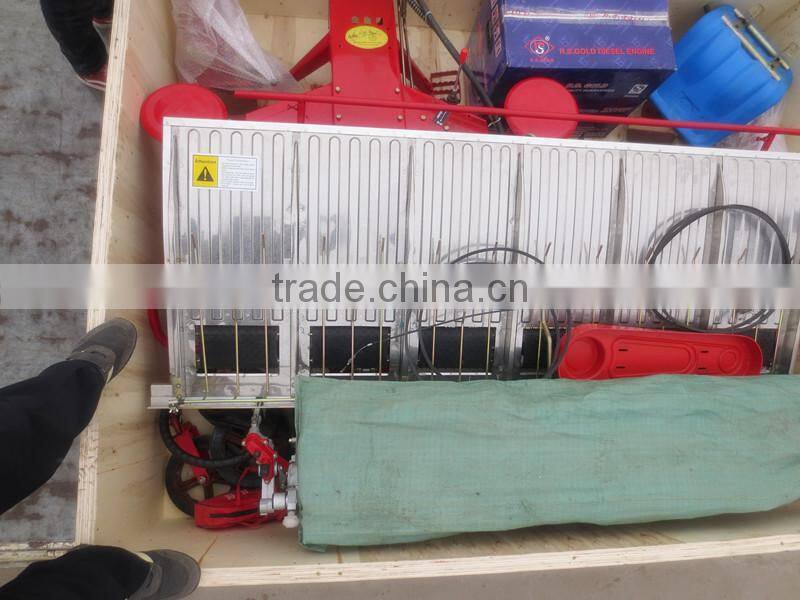 6rows paddy rice transplanter