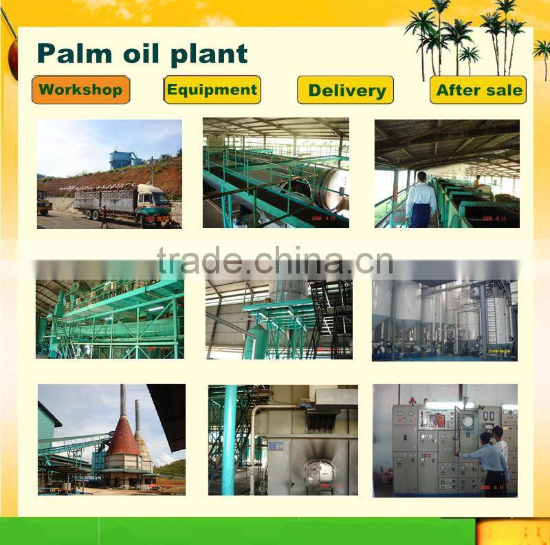 Easy Operation Automatic Palm Oil Processing Machine Palm Kernel Oil Press Machine