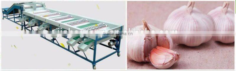 Garlic /Vegetable and Fruit Cleaning and Grading/Sorting machine