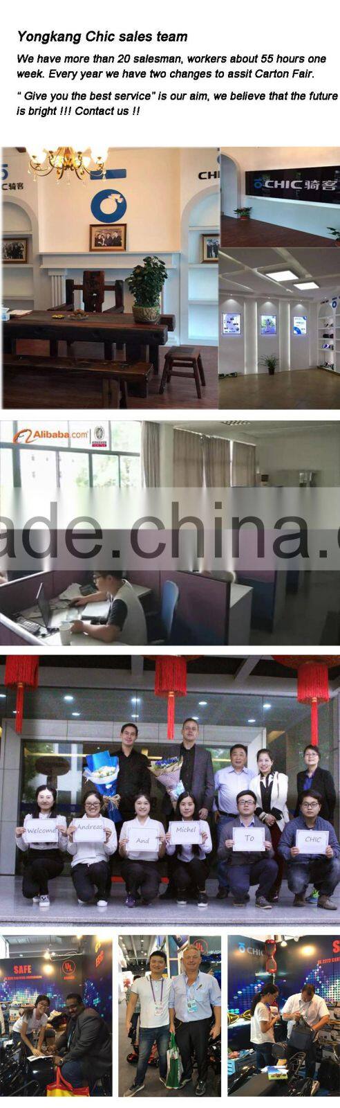 8inch 250Wx2 electric motor for folding scooter europe