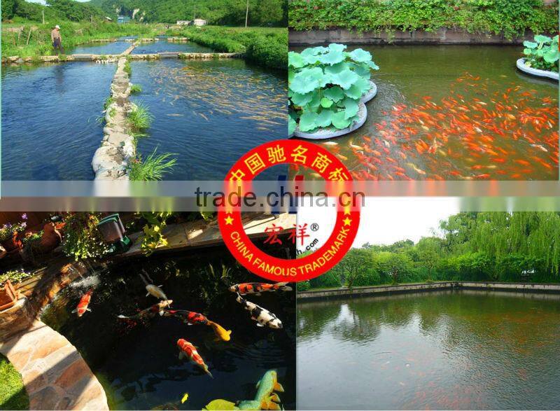 1.0mm fish pond liner HDPE geomembranes