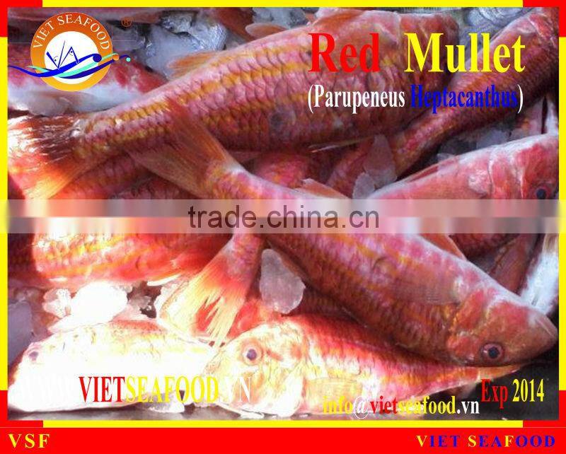 FROZEN RED MULLET WHOLE ROUND