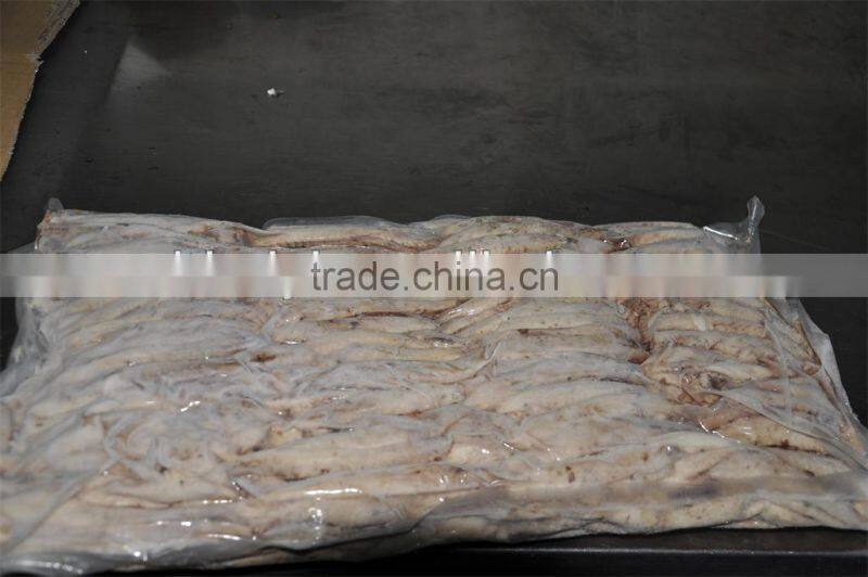 Frozen bonito tuna loin (sarda sarda)