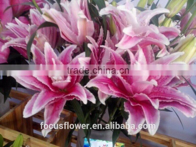 Artificial Easter Double Llily Flower