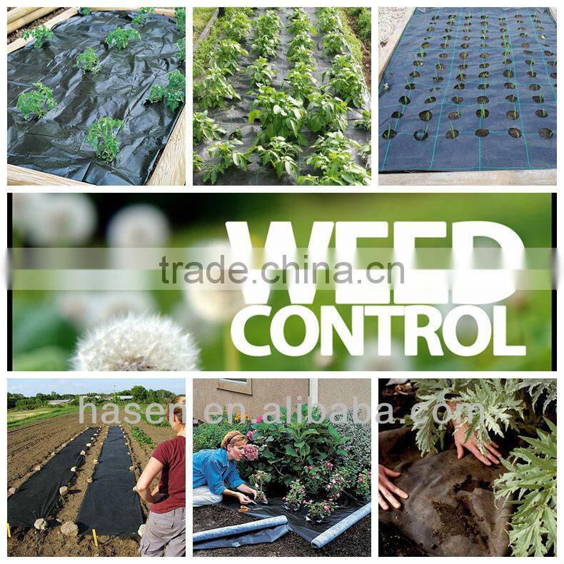 pp nonwoven fabric for weed control used in agriculture China manufacturers