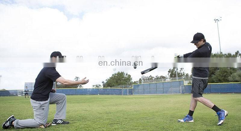 Slugger Weighted Baseballs/Softballs/Heavy Balls for Hitting, Batting, Pitching Practice