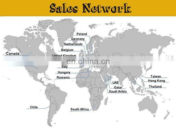 Personality design living room curtain