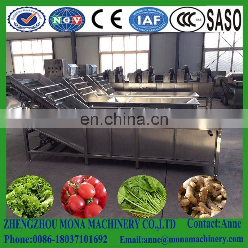 Surfing type vegetable washing machine| stainless steel fruit and vegetable washing machine with CE