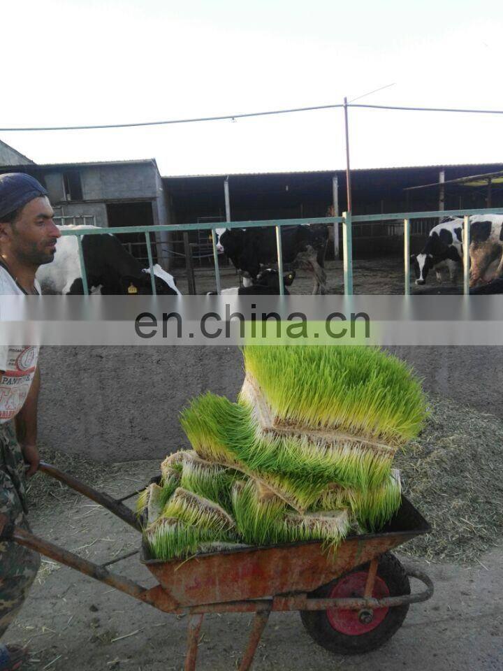 1500kg/day capacity cow/sheep feed wheat/barley hydroponic fodder container/machine