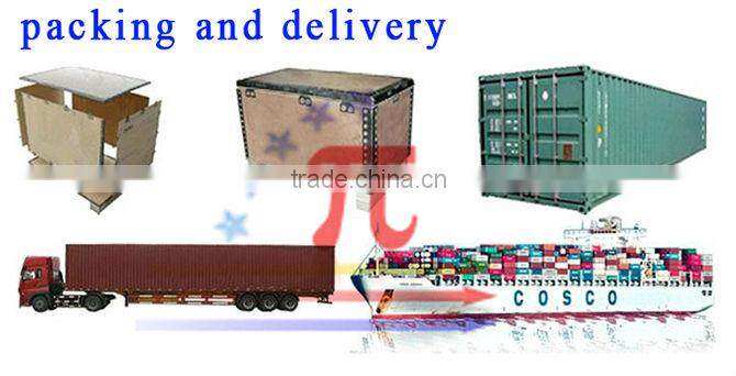 JLSI-0062 Dragonfly Animatronic Insect Model for Sale