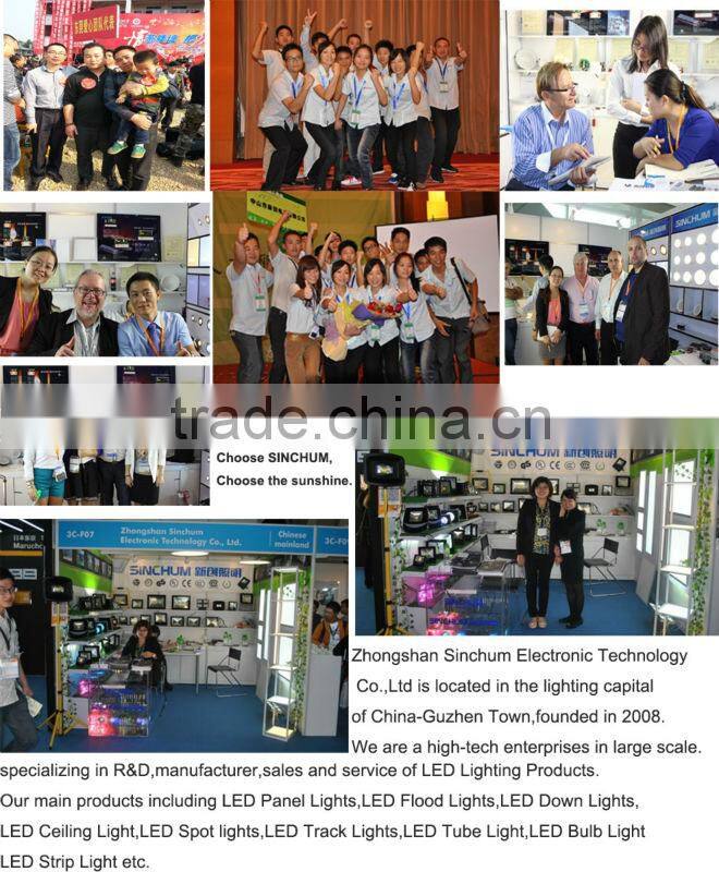 Constant current DC12V 12W IP65 led driver