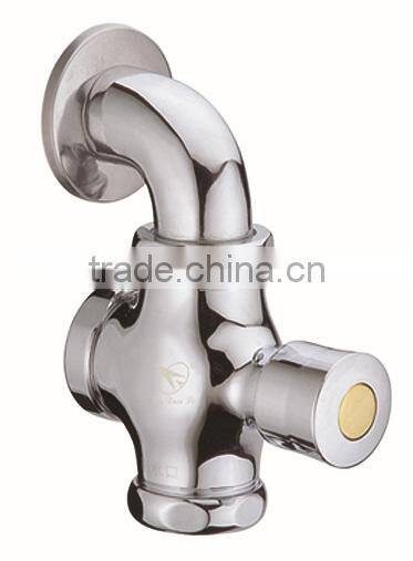 wall mounted pushing style toilet flush valve F502