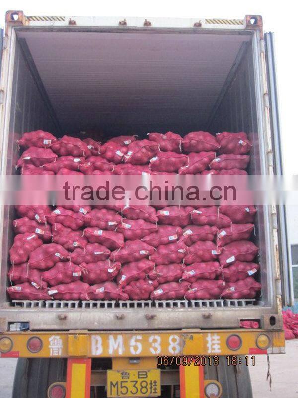 Fresh Onion Market Price