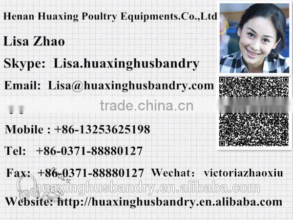 Huaxing automatic feeder for hens/broiler chicken feeding/broiler chicken coop