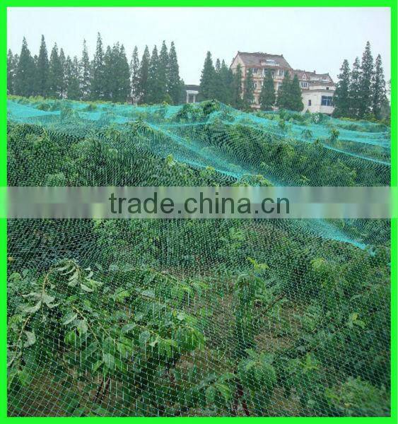 supply grape used knitted plastic anti bird net with low price