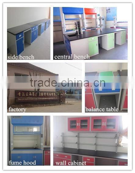 Steel Laboratory Fume Hood for Good Price