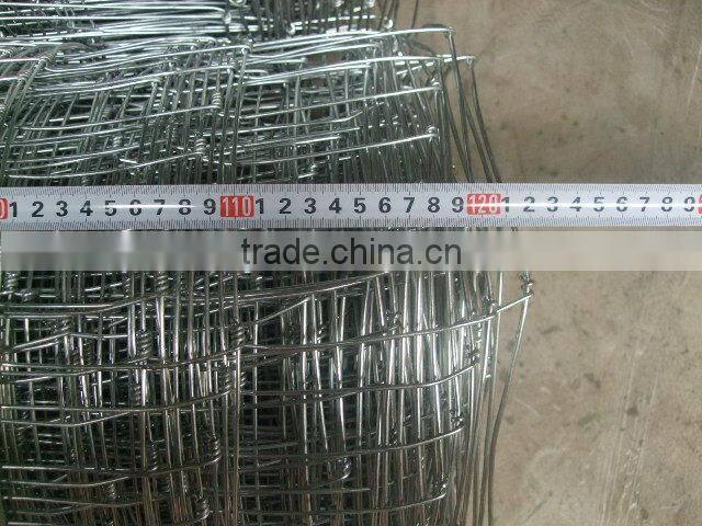 baseball sport field fence