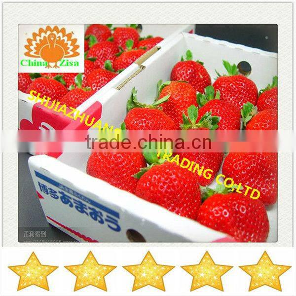 agricultural equipment plant stand in greenhouse