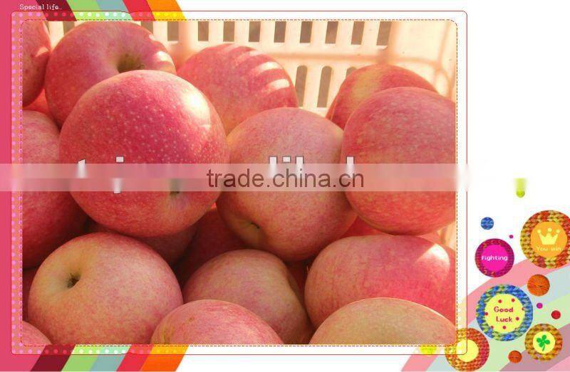 Qinguan apples