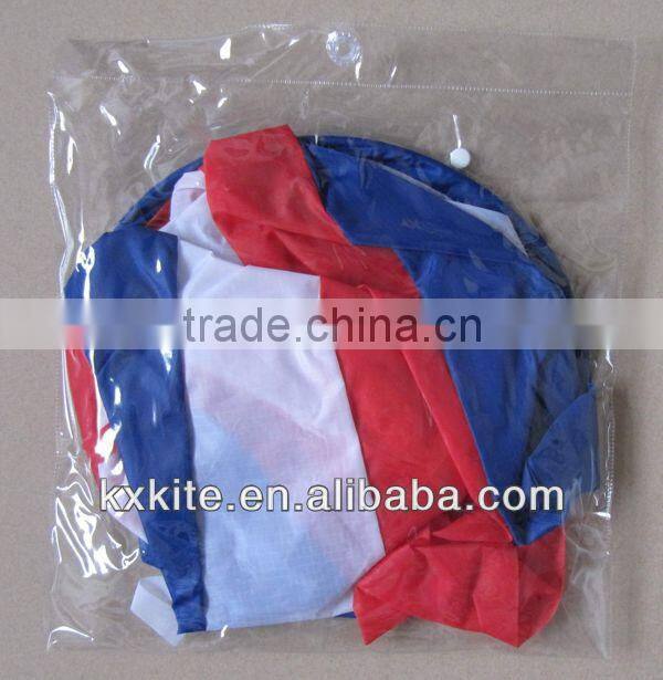 windsock fish from kaixuan factory for sale