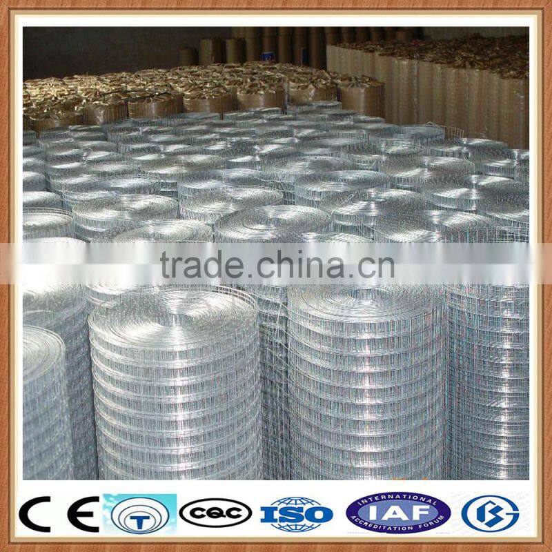 galvanized welded wire mesh for chicken/ bird