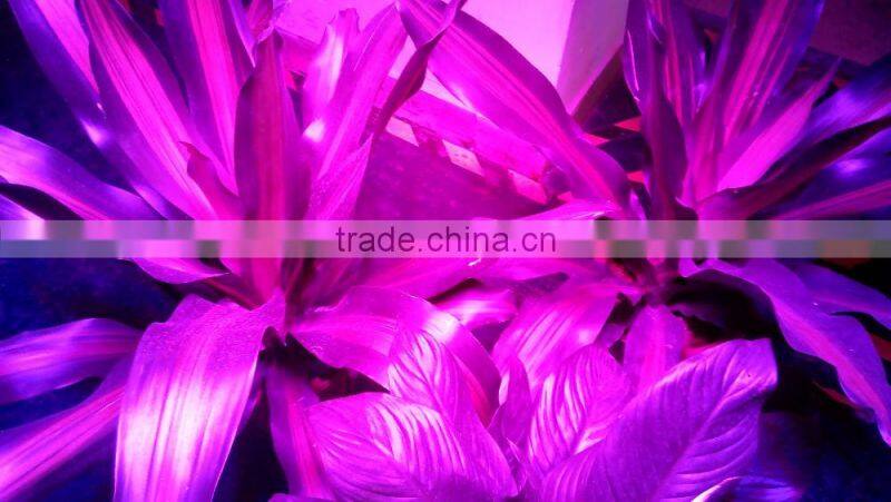 72w/150w/420w/600w led plant grow light hydroponic full spectrum
