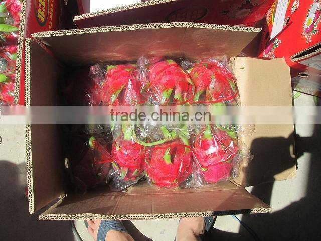 Vietnam Dragon Fruit with high quality and Best Price