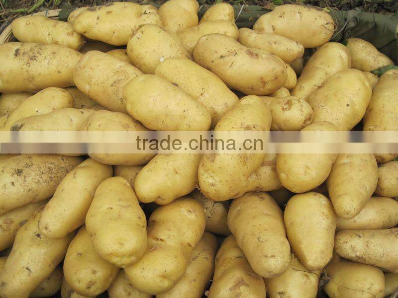 food potatoes