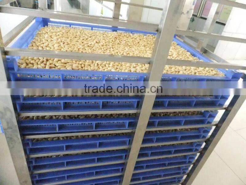 ROASTED PEANUT IN SHELL 9/11 NATURE FLAVOR