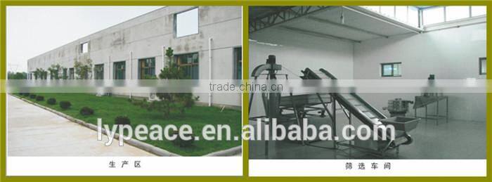 Pure Natural Delicious Flakes Dried Ginger Export Prices