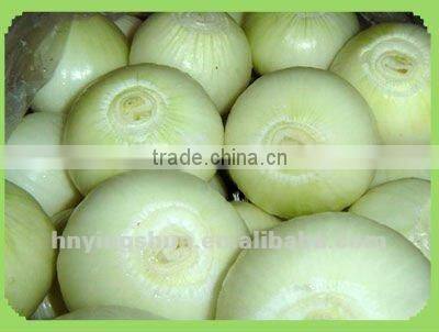 staiinless steel automatically cortadora de anillos de cebolla