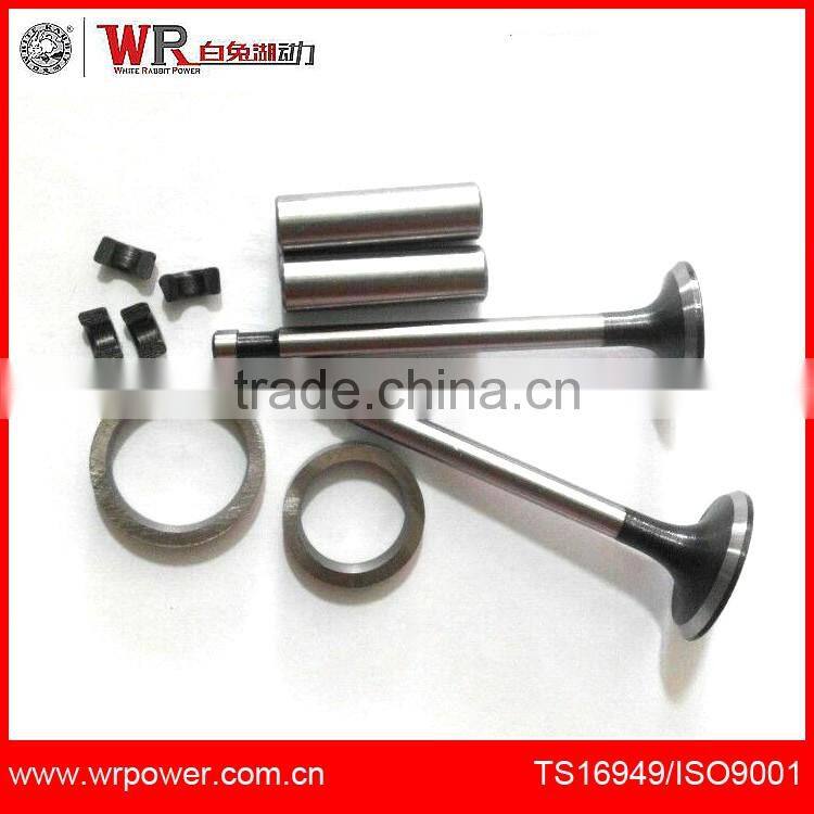 R185 Diesel Engine Valve Set