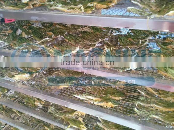 heat pump drying equipment for fruits vegetables and sea food and charcoal barbecue
