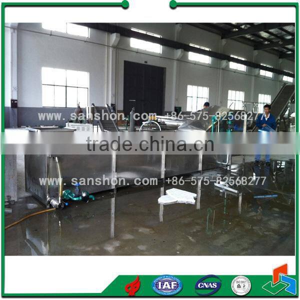 Food Machinery LPT chain type Vegetable Blancher