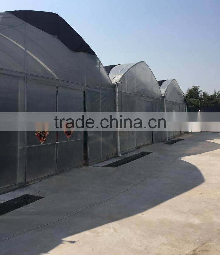 Quickly delvery china greenhouse for commerical