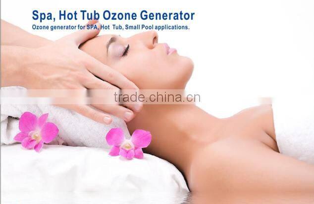 300 mg/h ozone generator water sanitizing for spa hot tub