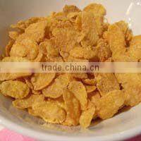 Corn Flakes exruder Machine With CE