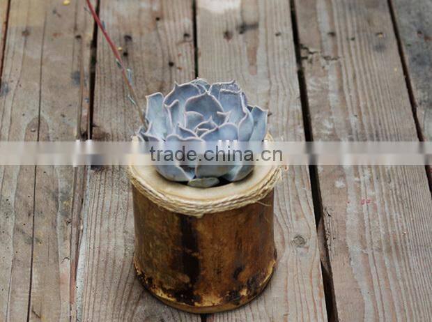 Home design 5 inch succulent plant small wood flower planter