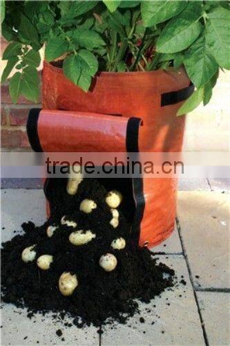 Orange Potato Planter Growing Bag