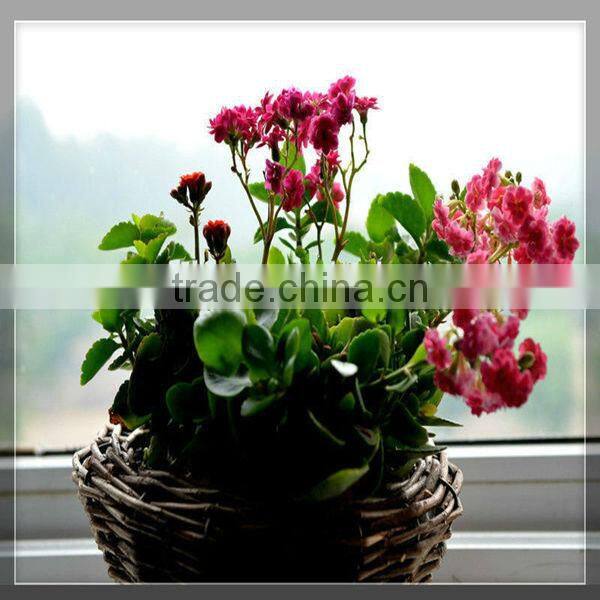 HOT 100%handmade low price silver pooja flower basket