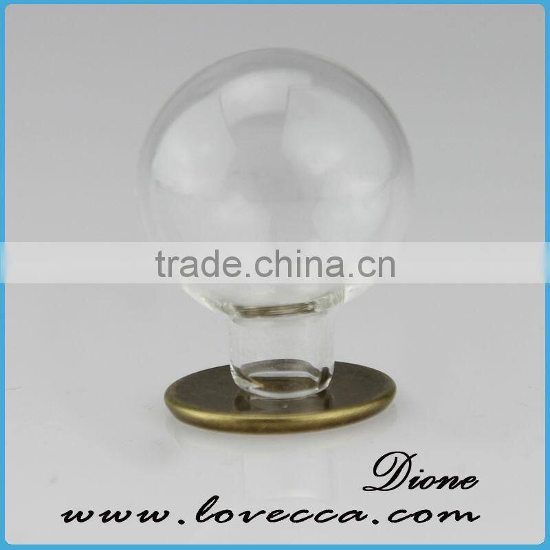 Mouth Blown Modern decoration Glass Globe customized flower clear glass display dome