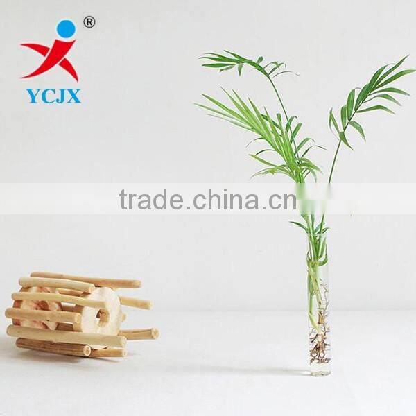 Modern Style Indoor Plant Glass Terrarium / Glass Tube Vase