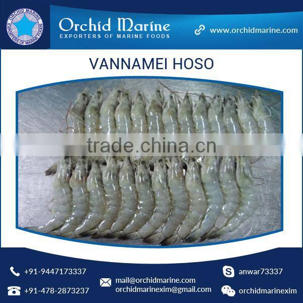 Trusted Supplier of High Quality Delicious, Healthy, Natural, Shrimp Vannamei