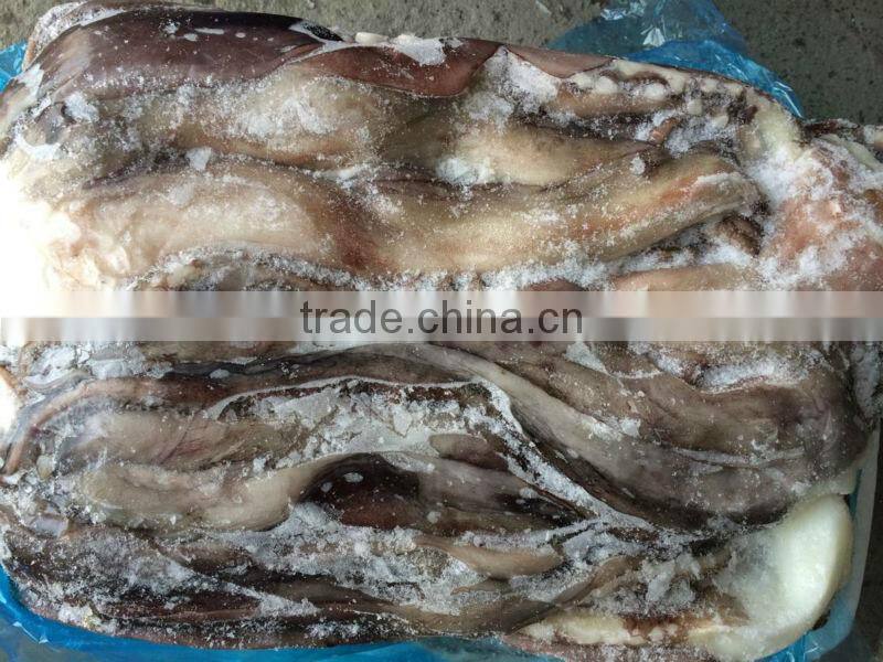 Frozen giant squid tentacle