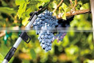 Multi-function fruit picking device