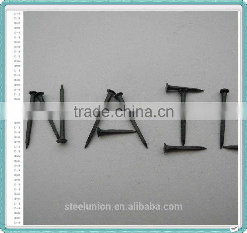 Fine Blue Shoe Tack/Shoe Nails