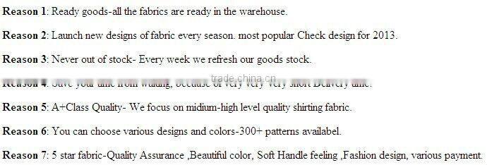 2013 New design check shirting fabric