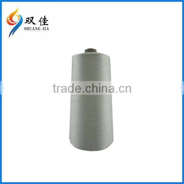 China High Tenacity Raw 100% Rayon Embroidery Thread